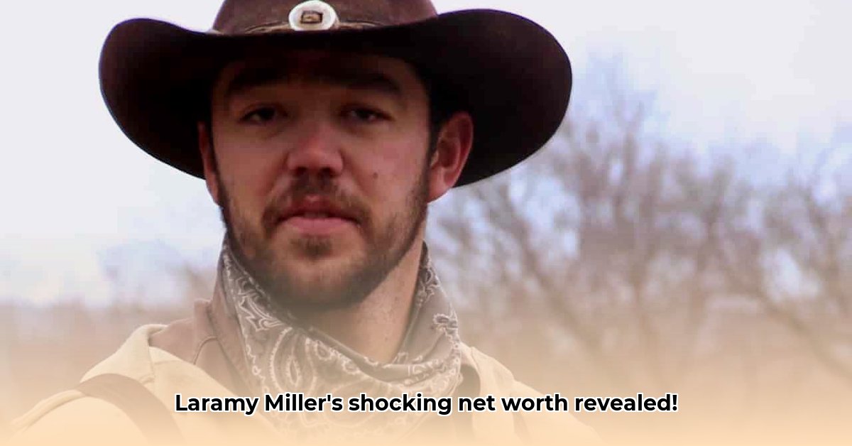 laramy-miller-net-worth